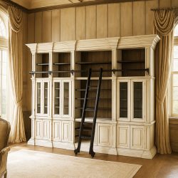Bookcase with Ladder